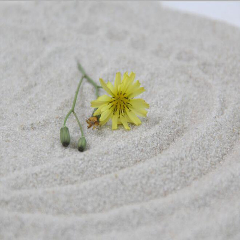 儿童玩具沙白沙子天然海沙细沙淘气堡沙池沙子投影沙