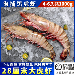 黑虎虾4 6头共2斤海捕巨型特大鲜活冷冻九节虾海鲜水产海虾送礼