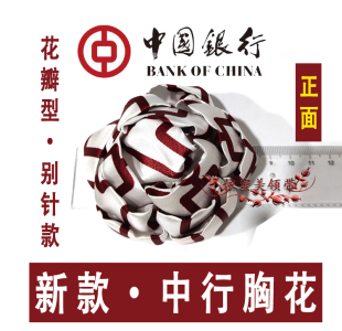 新款 订制职业女中国银行大堂经理柜台营业员丝巾胸花领花来图订做