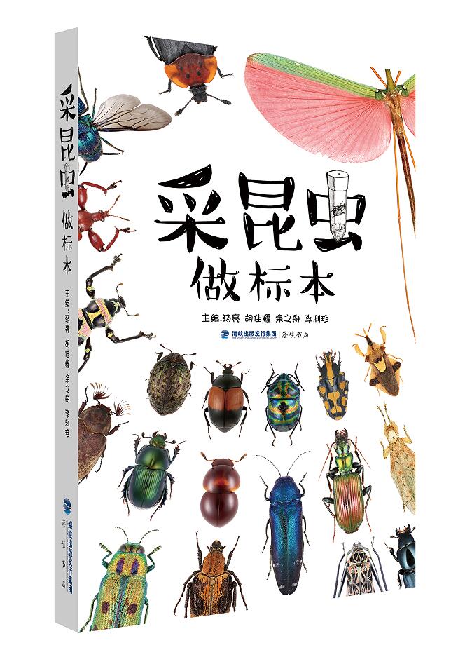现货 采昆虫做标本 昆虫自然百科全书 海峡书局