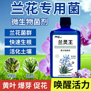 蝴蝶兰肥料专用肥兰花有机营养液促进开花液体肥营养肥植物营养液
