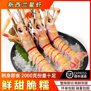 新西兰鳌虾2000g刺身即食海虾鳌虾甜虾超低温日式 料理