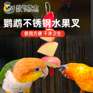 鹦鹉鸟笼不锈钢水果叉鹦鹉站架水果叉鹦鹉玩具用品鸟笼配件食物叉