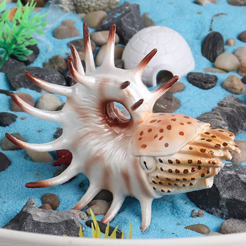 二叠纪史前海洋模玩生物模型库珀角石仿真动物儿童玩具鹦鹉螺菊石