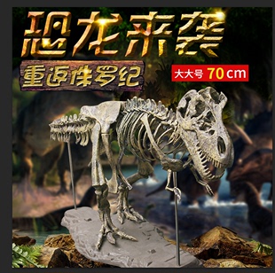 大型恐龙化石仿真霸王龙骨架模型侏罗纪宝宝拼装 骨骼摆件考古教学