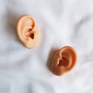 硅胶asmr耳朵模型摸耳朵助眠采耳耳钉耳机展示道具仿真人耳模型