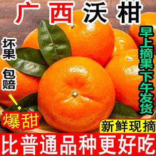 广西武鸣沃柑10斤新鲜水果当季 整箱一级沙糖蜜橘砂糖柑橘橘子桔子