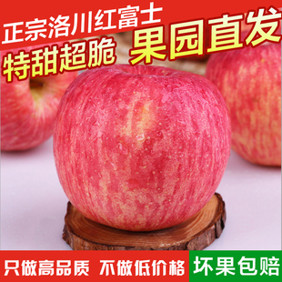 陕西洛川果大叔红富士苹果新鲜水果现摘带皮吃家庭装 直径75mm24颗