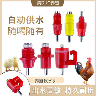 钢球阀饮水器大小钢球饮水鸡用大红头养殖鸡球阀式 饮水器养殖 卡式