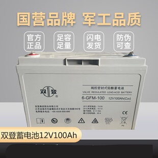 GFM 100铅酸12V100AH免维护UPS直流屏机房发电厂 双.登蓄电池6