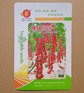 豫艺豫瑞988早熟高产高糖樱桃番茄种子 抗性好长势健壮 1000粒 袋