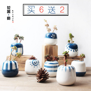 陶瓷创意手工多肉植物萌系微型蓝色拇指花盆买6送2