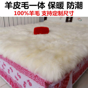 100%纯羊毛床垫皮毛一体羊皮褥子羊羔绒床毯冬天真加厚保暖垫褥