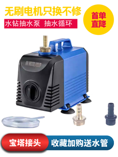首单立减220V无刷水钻抽水泵家用电动小型抽水机循环微型高扬程质