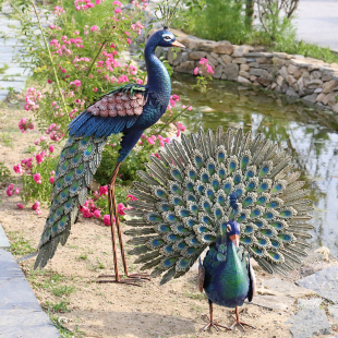 岛拉北欧孔雀摆件复古铁艺仿真孔雀开屏花园庭院动物装 饰景观搭配