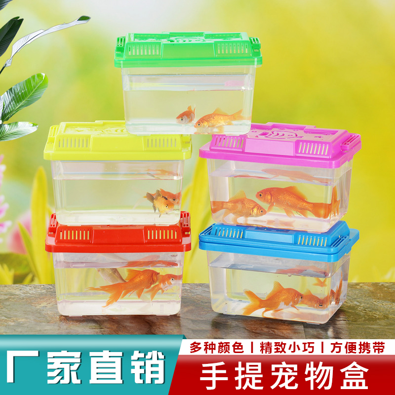 手提塑料龟缸厂家直销地摊推广透明乌龟缸爬虫宠物饲养盒小乌龟盒