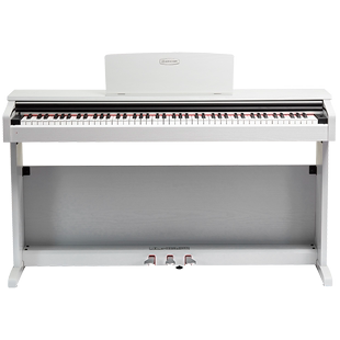 珠江钢琴艾茉森电钢琴88键重锤电子钢琴初学考级