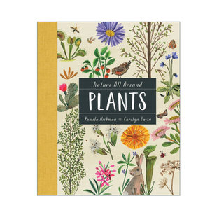 All 进口英语原版 精装 自然环绕 Plants Nature 自然科普图画书 植物 英文版 书籍 英文原版 Around