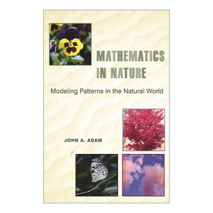 进口英语原版 英文版 Adam 书籍 Nature 自然世界 Mathematics 英文原版 John 大自然中 建模模式 数学