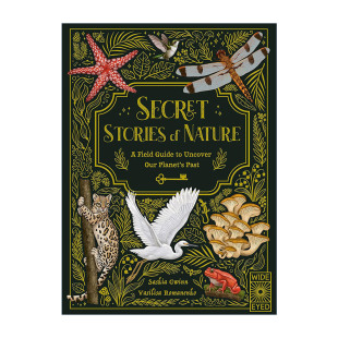 Stories 进口英语原版 绘本 自然 Nature Secret 儿童科普百科精装 秘密 英文版 书籍 英文原版