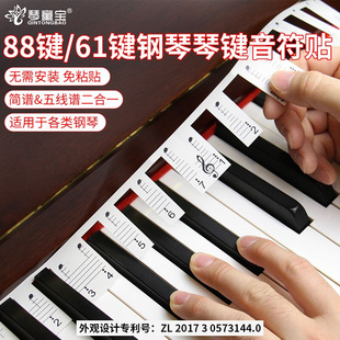 钢琴键盘贴纸电钢琴电子琴键盘贴88 61键琴键贴五线谱初学者简谱