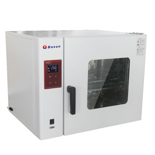 BGZ 上海博迅 实验室恒温烘烤箱 250度熔蜡箱 电热鼓风干燥箱
