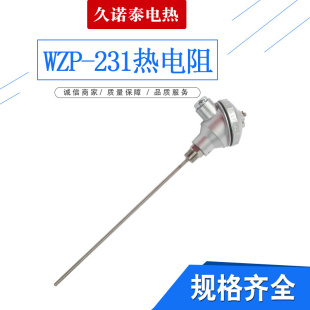 WZP PT热铂电阻 配式 固定螺纹电热偶温度传感器 2装