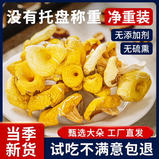 鸡油菌干货云南特产蘑菇新鲜干黄丝菌菌菇黄金菇榆黄菇煲汤料500g