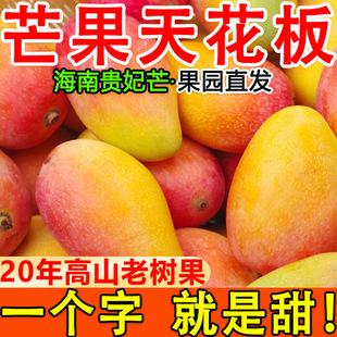海南贵妃芒芒果新鲜整箱大果水果 包邮 当季 树上熟热带水果金红龙