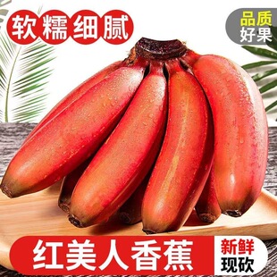 广西红美人香蕉红皮5斤新鲜现摘时令应季 水果非芭蕉