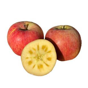 正宗新疆阿克苏冰糖心苹果大果新鲜水果应当季 丑苹果脆甜整箱10斤