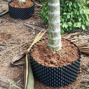 根围栏高压插螺丝器扦树器控根树围果树盆景植物园林植生控根挡板