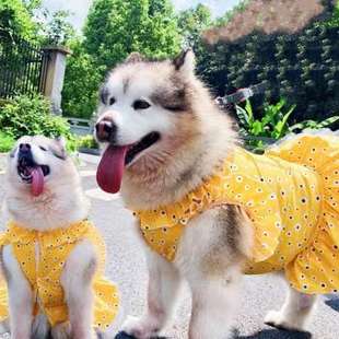狗狗衣服夏季 公主风金毛萨摩耶阿拉斯加大型犬狗狗裙子薄款 衣夏装