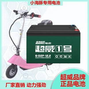 迷你电动车电池蓄电瓶24v12V12AH小海豚折叠车滑板车照明轮椅电池