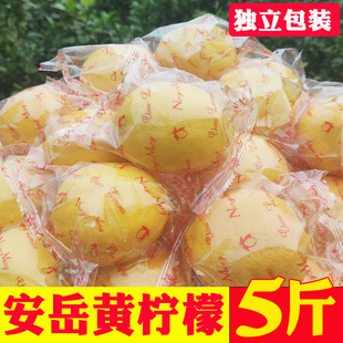 整箱二三级皮薄独立包装 柠檬 柠聚园5斤安岳黄柠檬新鲜水果当季