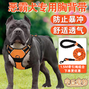 恶霸犬卡斯罗专用狗狗牵引绳背心式 幼犬胸背带狗链中大型犬用品
