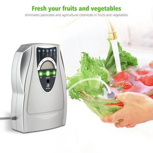 食材净化器 家用臭氧水果蔬菜自动清洗机 国外果蔬消毒机