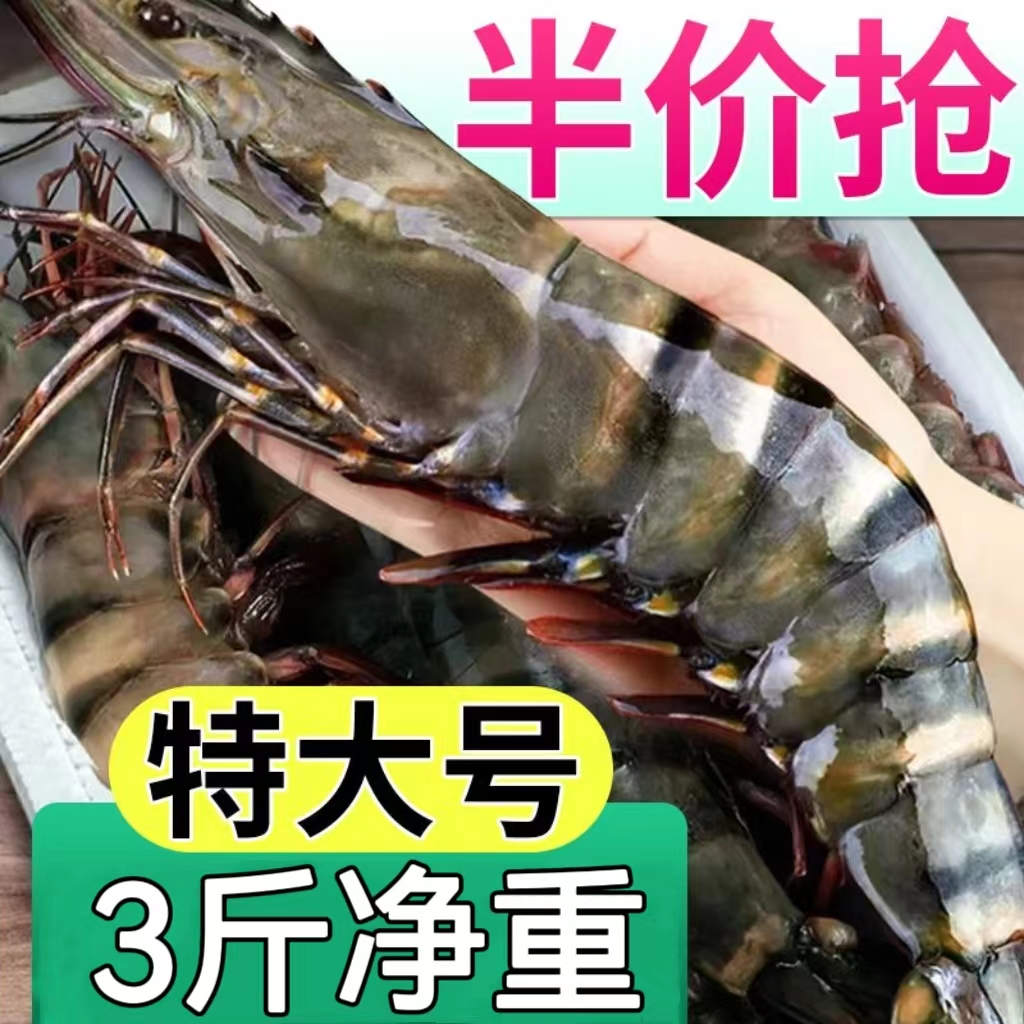 黑虎虾鲜活超大速冻老虎虾新鲜海虾冷冻特大虾类海虾水产净重3斤