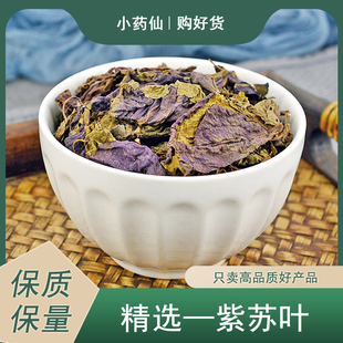 紫苏叶中药材小药仙正品 新鲜食用干紫苏叶泡茶磨紫苏叶粉烤肉调料