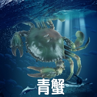 林畅模玩儿童海洋动物玩具青蟹模型仿真螃蟹梭子蟹大闸蟹深海生物