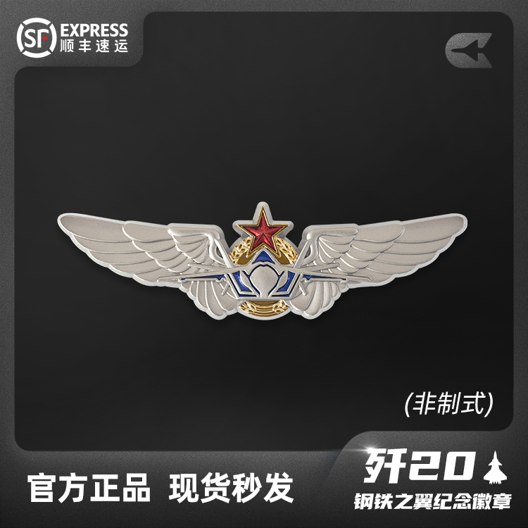HK航空工业周边文创歼20飞机钢铁之翼纪念徽章军迷锌合金胸章