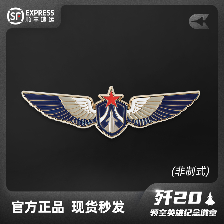 HK航空工业周边文创歼20飞机领空英雄纪念徽章军迷锌合金胸章