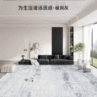 北欧.地垫免地毯新款 客厅冬地毯房间打理高端卧室2024茶几风冬季