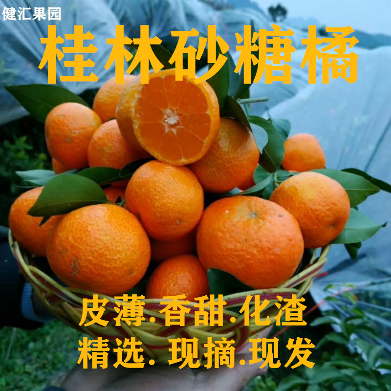 广西清香橘蜜桔纯甜清香茶橘巴西柑新鲜水果青皮橘青香丑桔3斤5斤