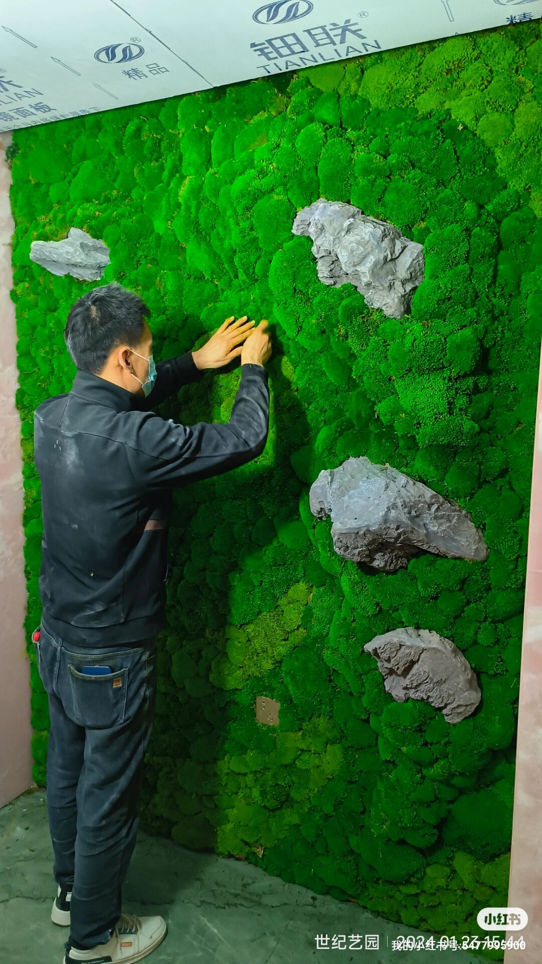 永生苔藓艺术墙室内景观设计绿植造景植物租赁绿植租摆植物组合