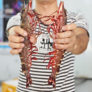 包邮 南海新鲜 海南三亚深海大虾 海捕海产对虾3只一斤满三斤
