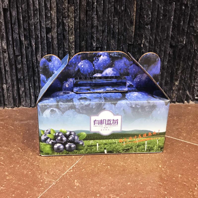 新款 蓝莓包装 盒礼盒礼品盒蓝莓纸盒纸箱手提包装 盒水果通用箱子