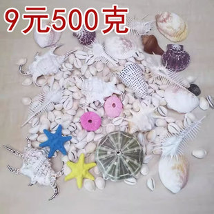 天然海螺贝壳杂七杂八小海螺一袋200 500克库存处理实物拍摄照片