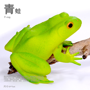 软胶仿真动物模型玩具 青蛙 蝌蚪模型玩具 软胶