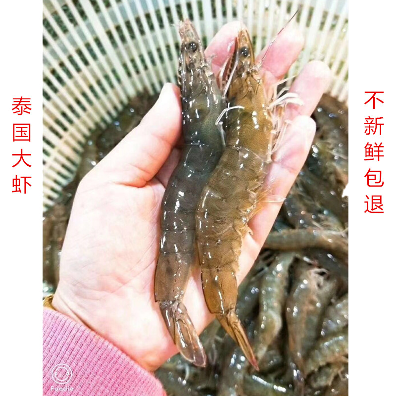 当天刚死 冰鲜基围虾500g 新鲜海虾 超大基围虾重庆海鲜水产